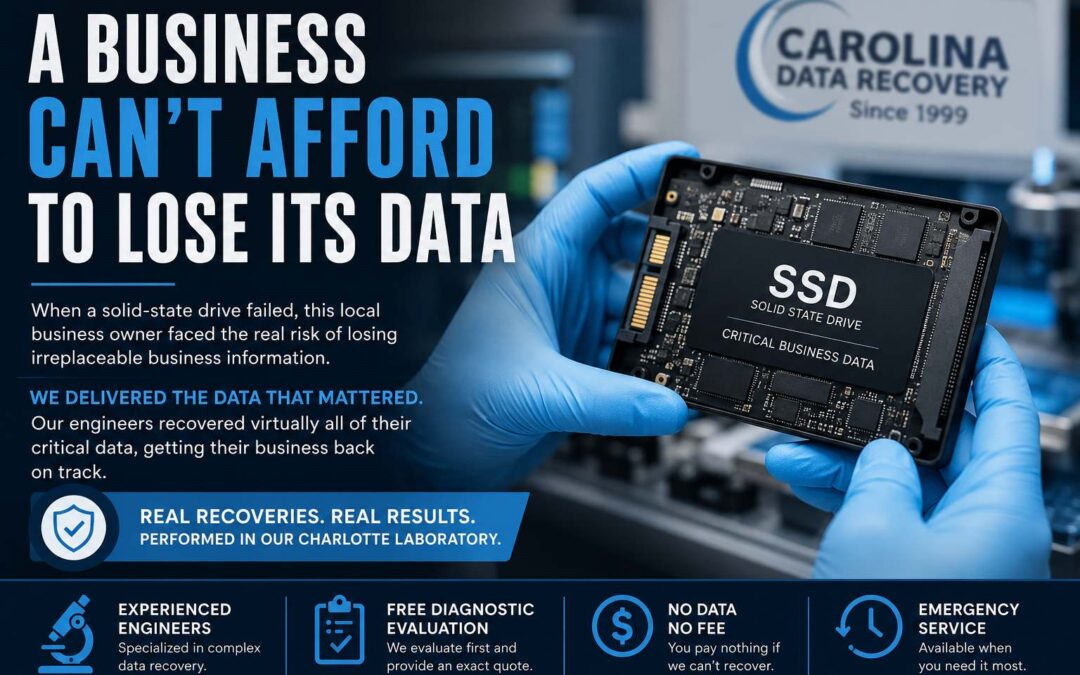 A Business Can’t Afford to Lose Its Data