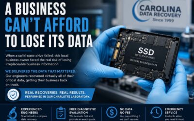 A Business Can’t Afford to Lose Its Data